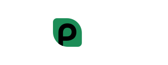 p2bb2b
